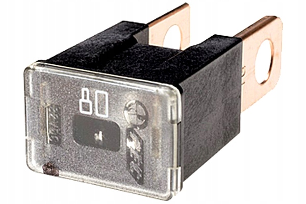 Fusibile HELLA PAL Serie 1 - 100A, Blu, Per Auto E Veicoli - Foto 8