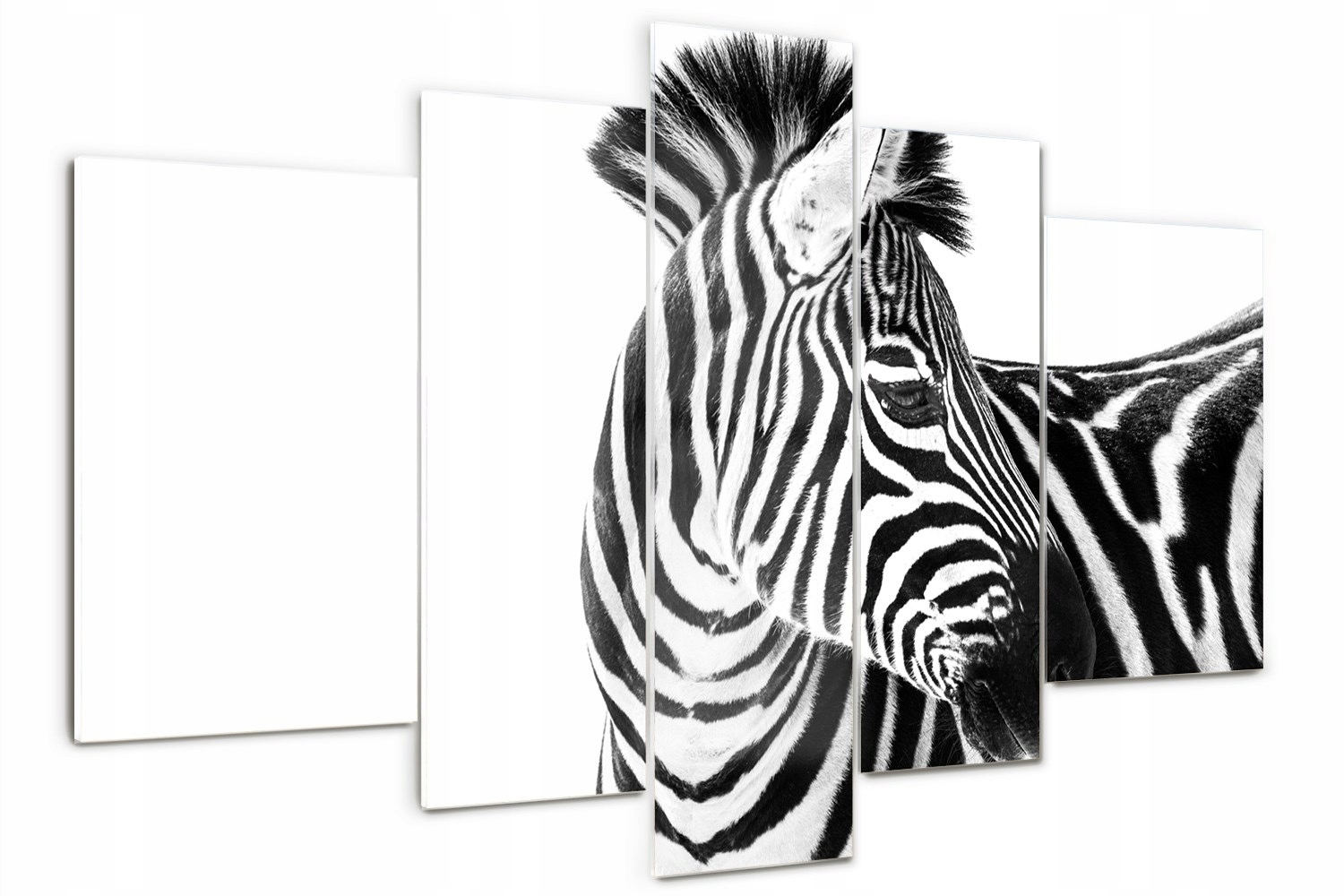 

Foto Obraz szklany duży tryptyk Zebra w śniegu