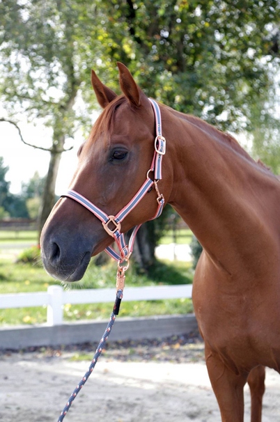 KANTAR DLA KONIA CORA SZARO-RÓŻOWY-BIAŁY PONY COVALLIERO