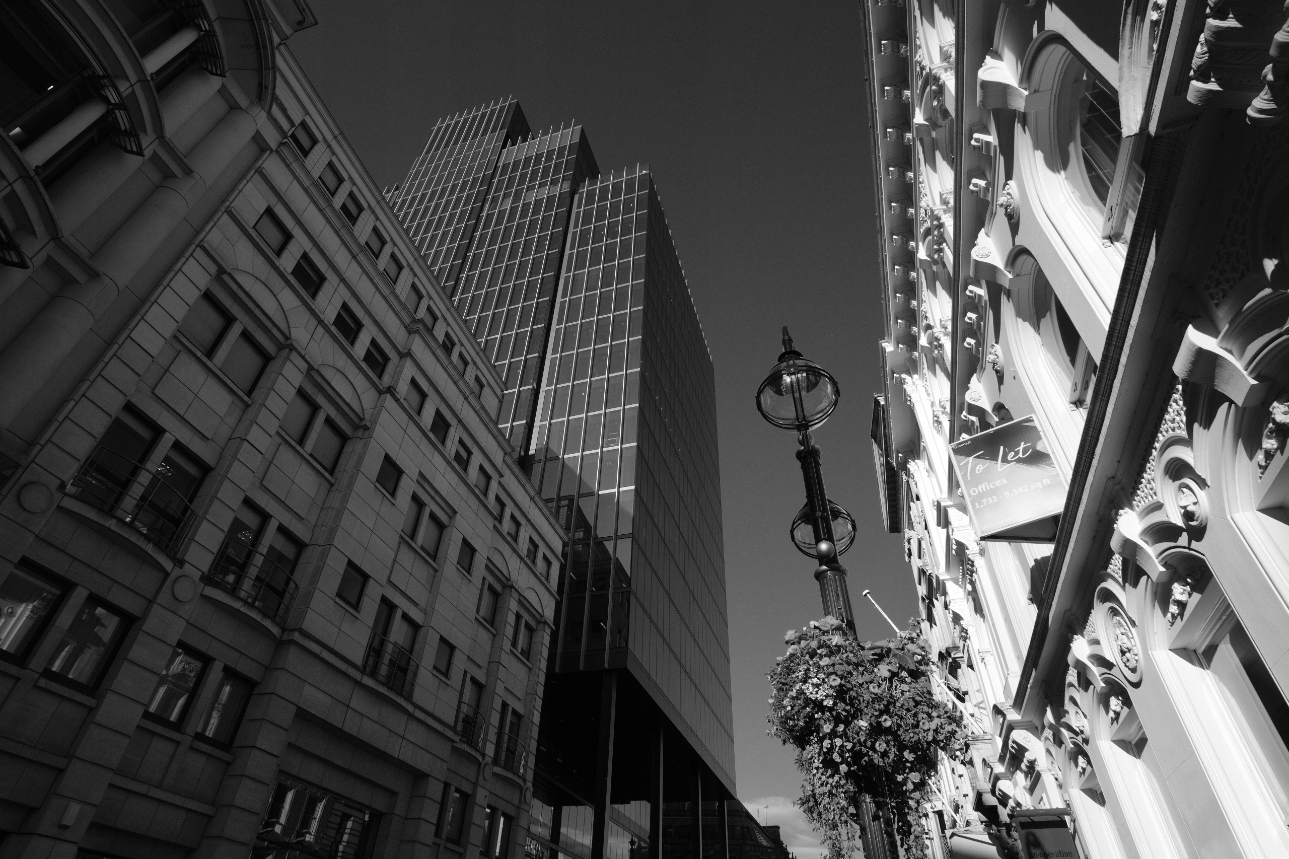 Samyang 12mm F2.0 AF Fujifilm X Typ obiektywu szerokokątny