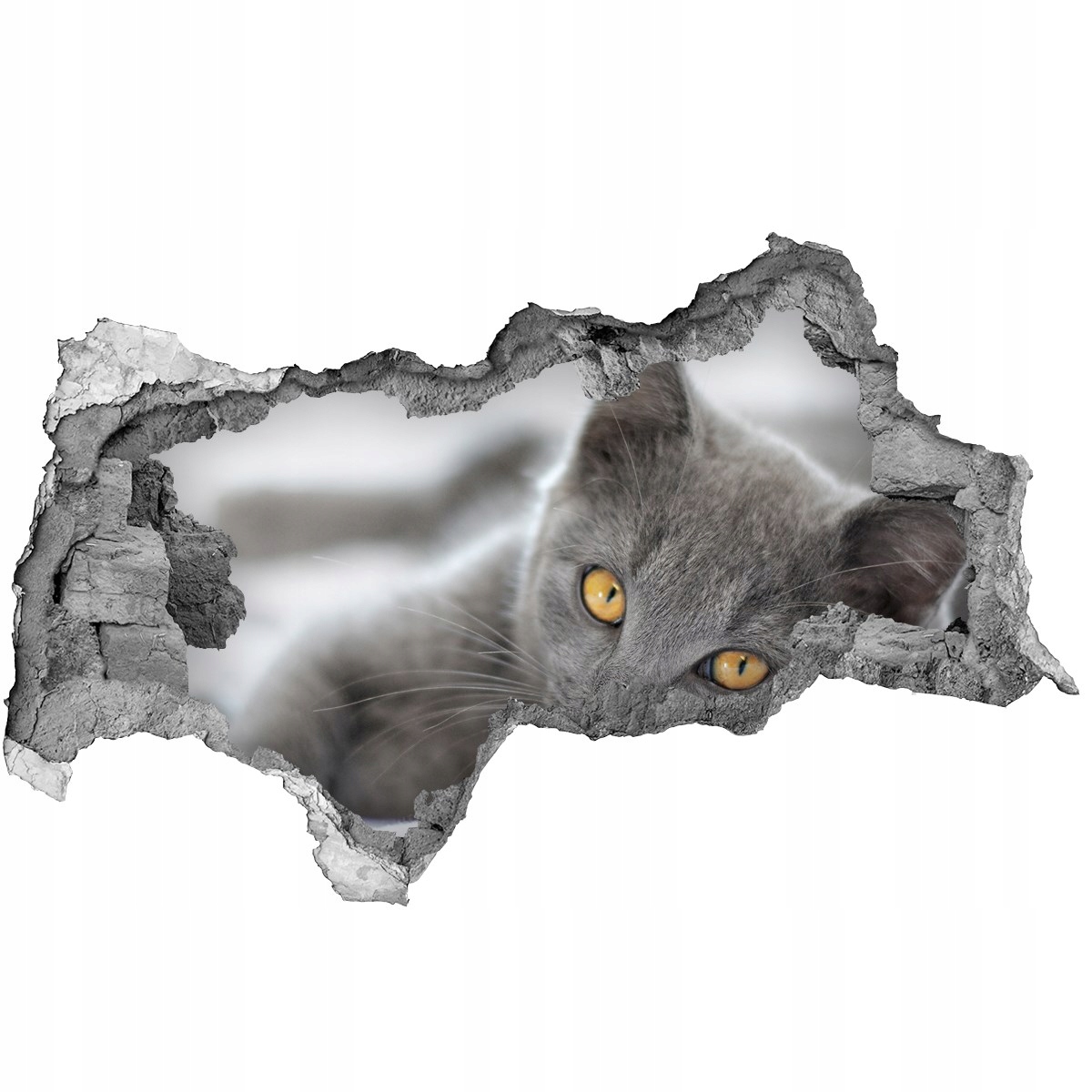 

Dziura 3d fototapeta Naklejka Szary kot 115x88