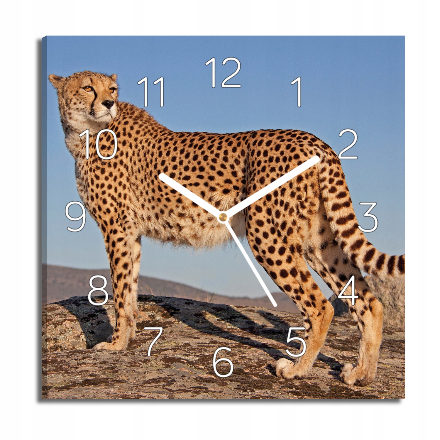 hodiny canvas Gepard skála do obývacího pokoje 30x30 s fotografií