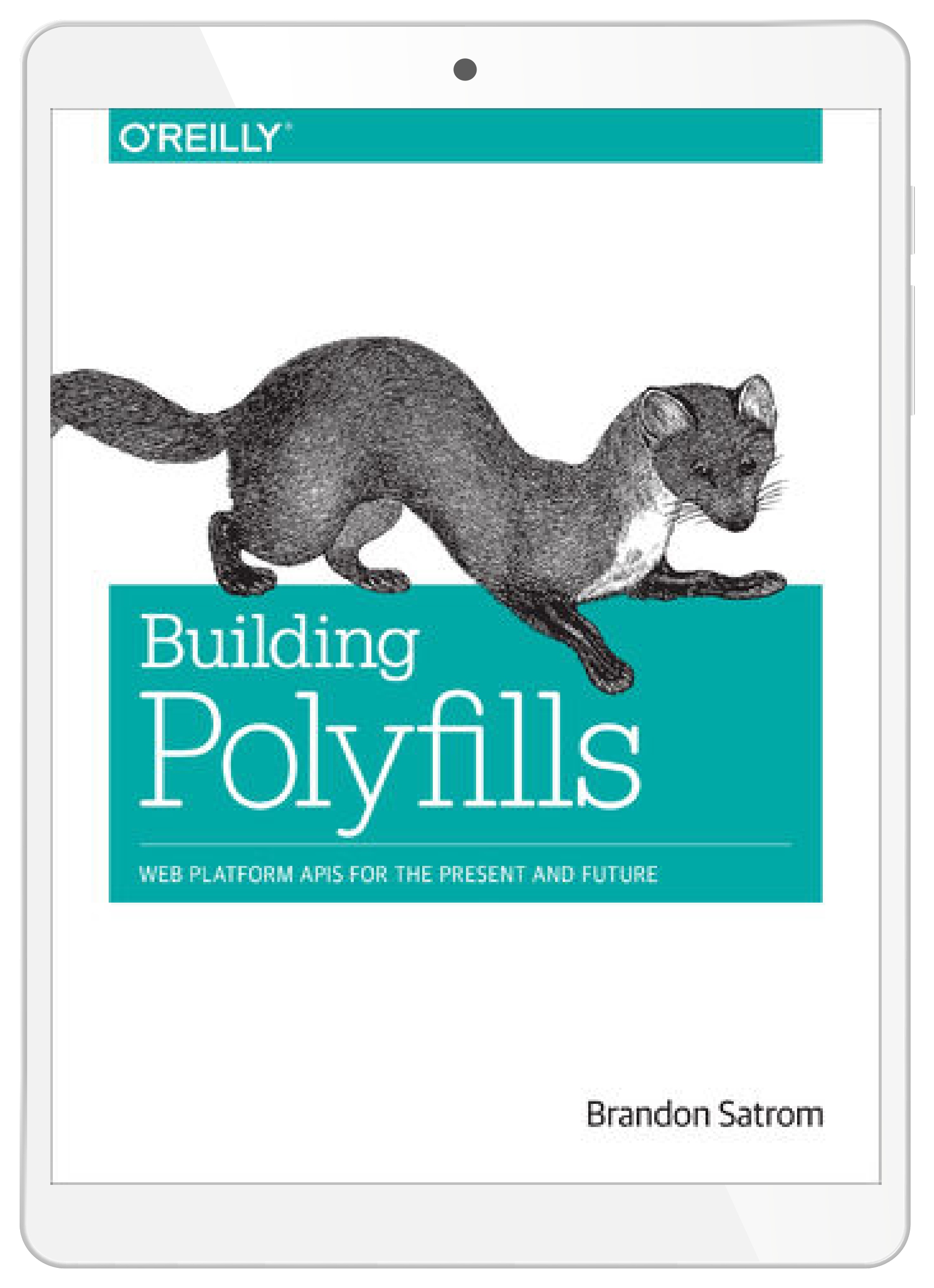 Building Polyfills. Web Platform APIs for the