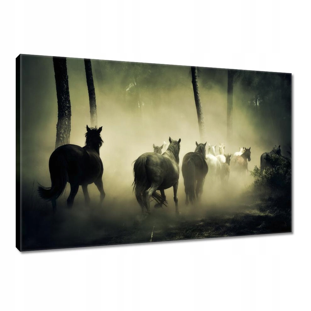 

Obrazy 90x60 Dzikie Konie Koniki Galop