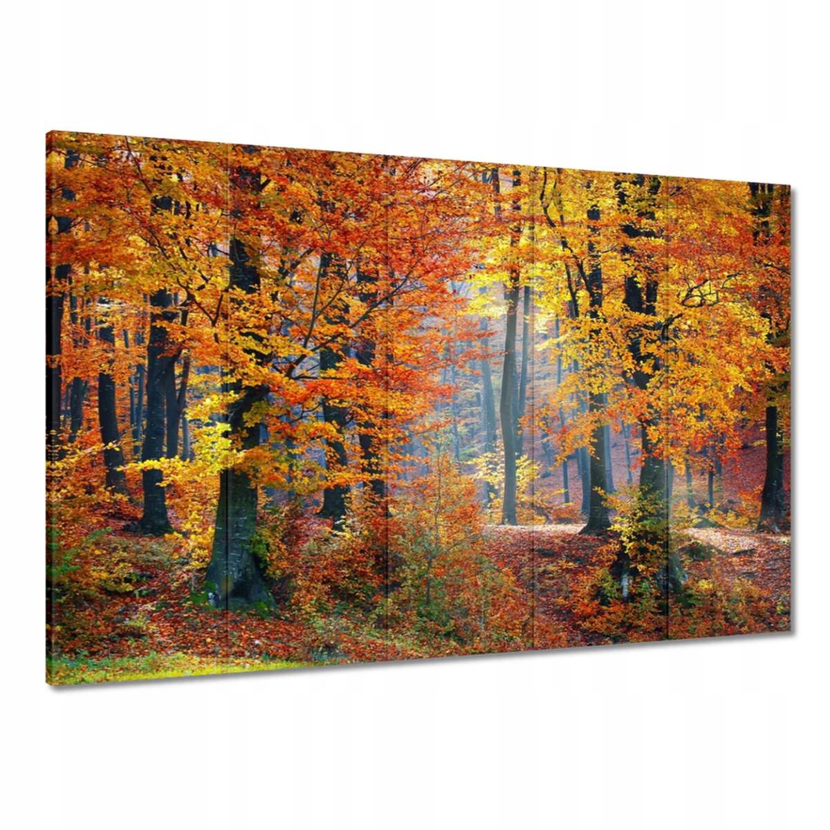 Obrazy 225x160 Złota jesień