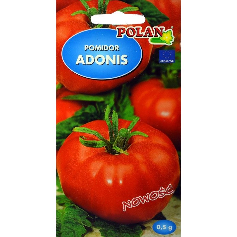 Томат адонис характеристика. Томат адонис агросемтомс. Томат адонис характеристика и отзывы. Томат адонис агросемтомс. Томат адонис ( из риги ).