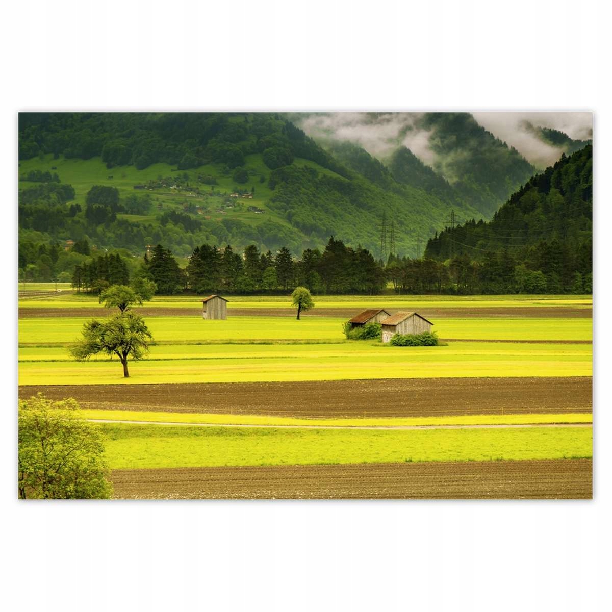 Plakáty 200x135 Zelené lány