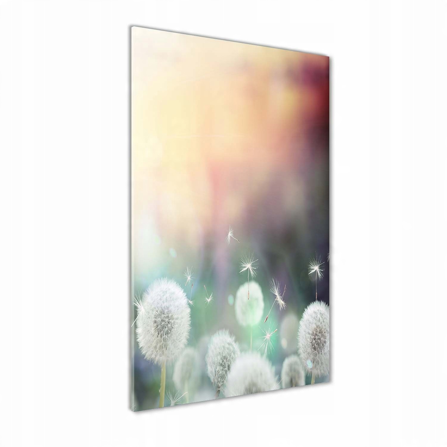 

Foto obraz akrylowy na ścianę Dmuchawce 60x120cm