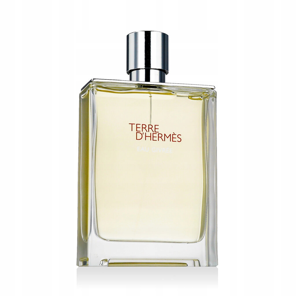 Hermès Terre D'Hermès Eau Givrée Edp plnitelný 175 ml M