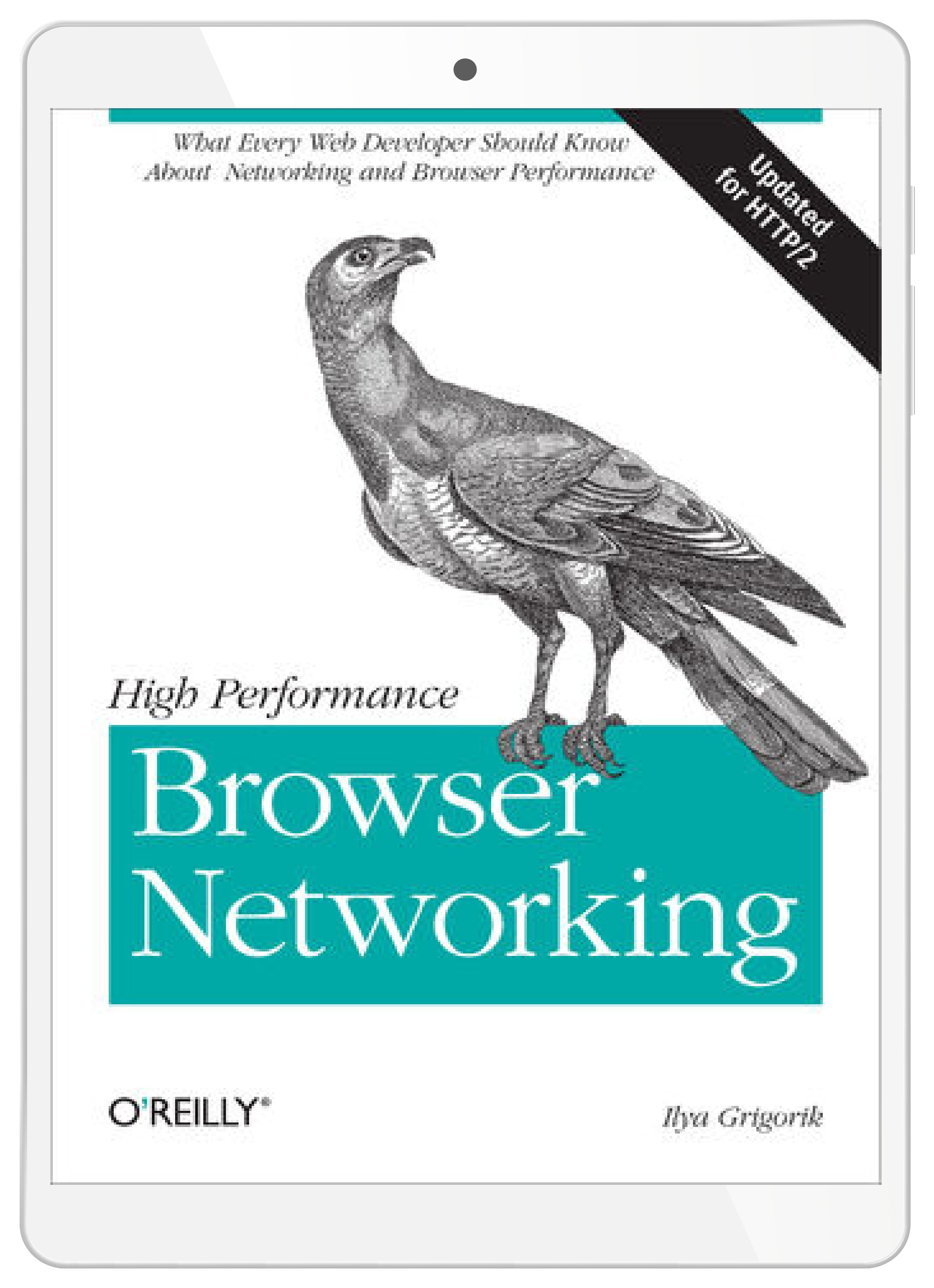 High Performance Browser Networking. What every