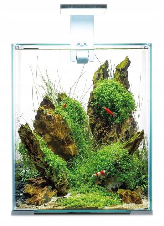 

Aquael Shrimp Set 20 Biały Day&night 25x25x30