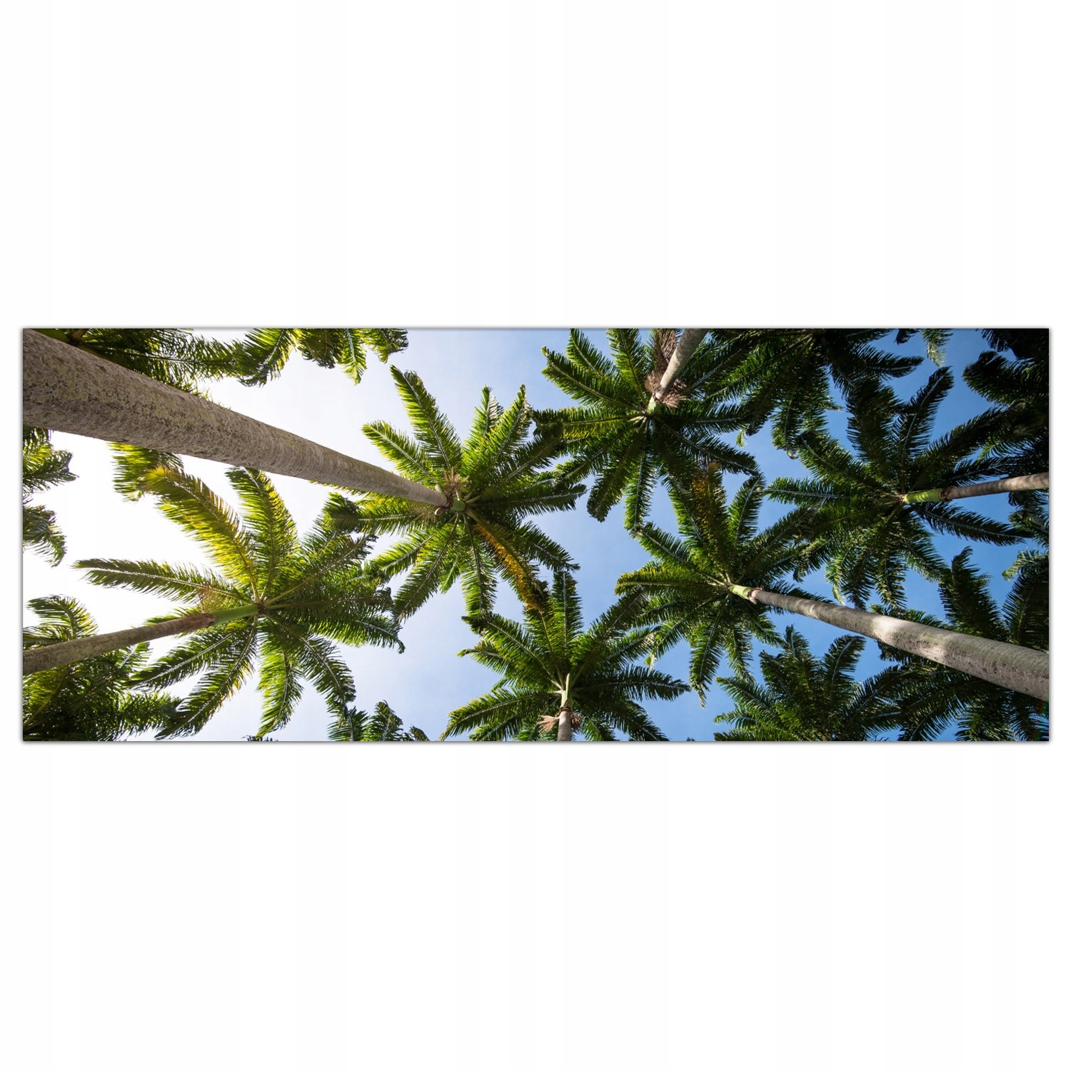 

Hartowany Obraz Szklany Tropiki Plaża Palmy 125x50