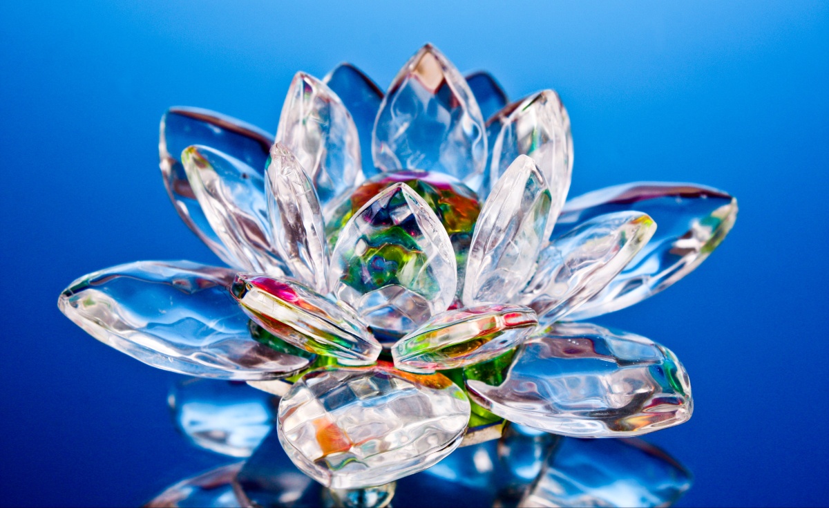 

Fototapeta Flizelinowa Kwiat lotosu 416x254