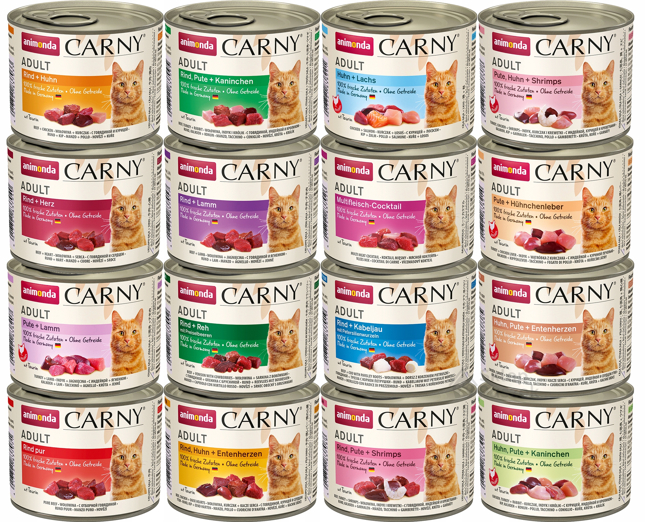 Levně Animonda Kočka Carny Adult MIX základních příchutí Set plechovek 200g x16