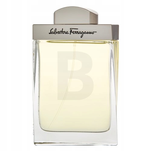 Salvatore Ferragamo Pour Homme toaletní voda pro muže 100 ml