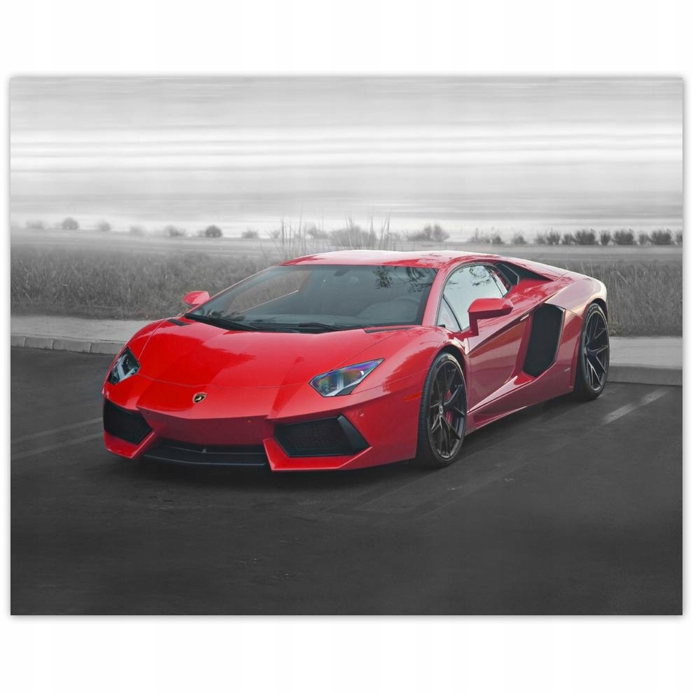 

Plakat 50x40 Sporotwe auto