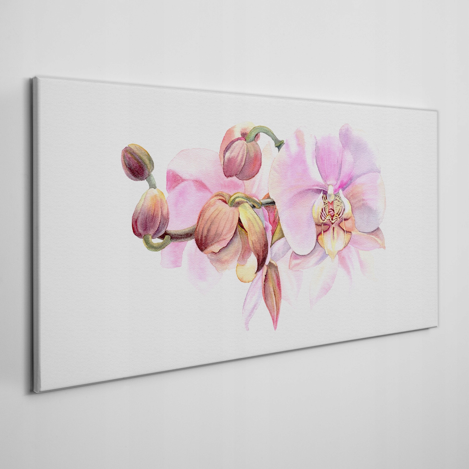 

Obraz na płótnie Akwarela kwiat orchidea 120x60 cm