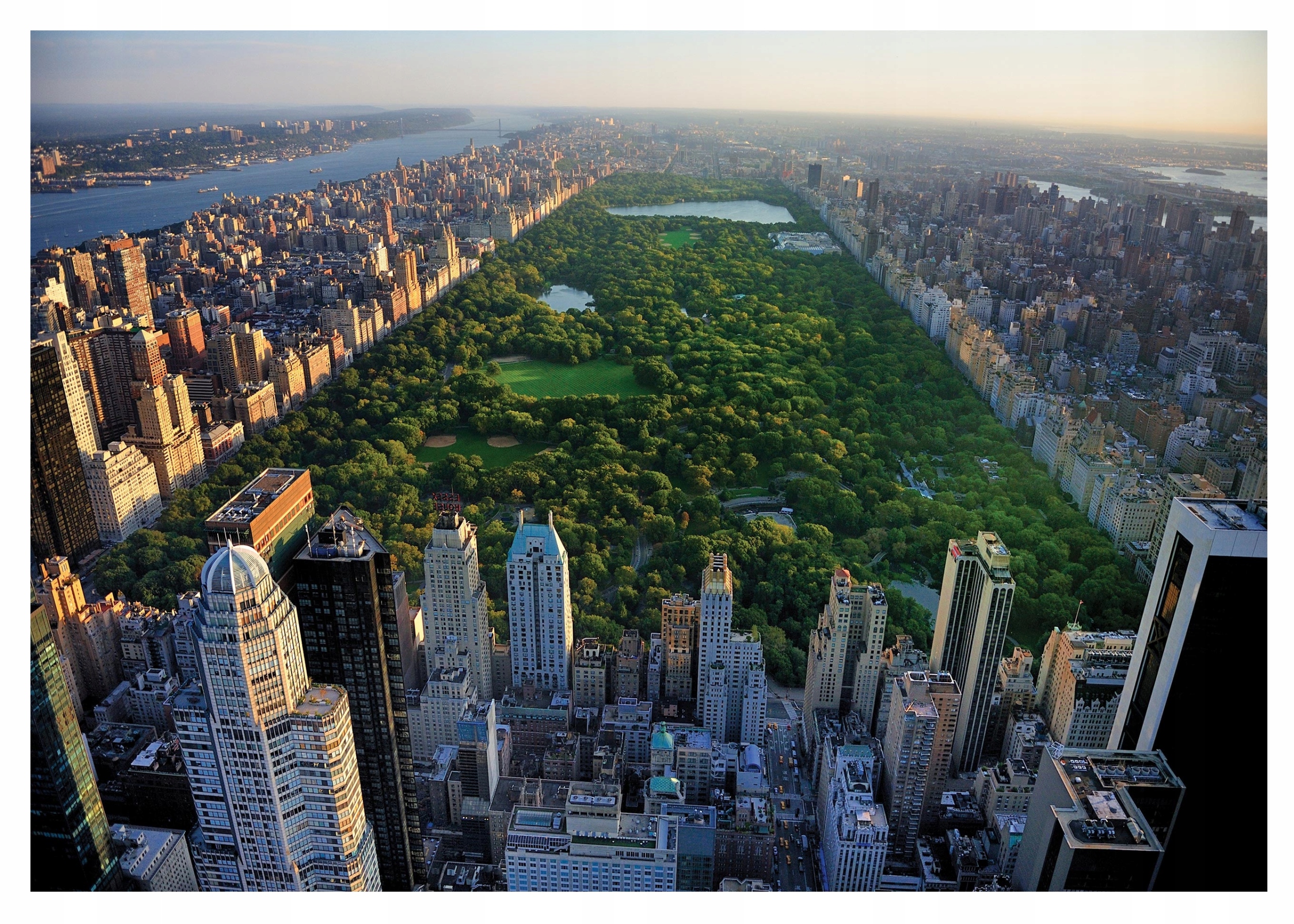 Fototapeta Město 3D Pohled Příroda Stromy 312x219