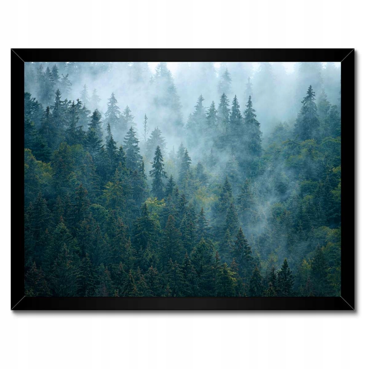 Plakát v černém rámu 40x30 Les v mlze Cestování