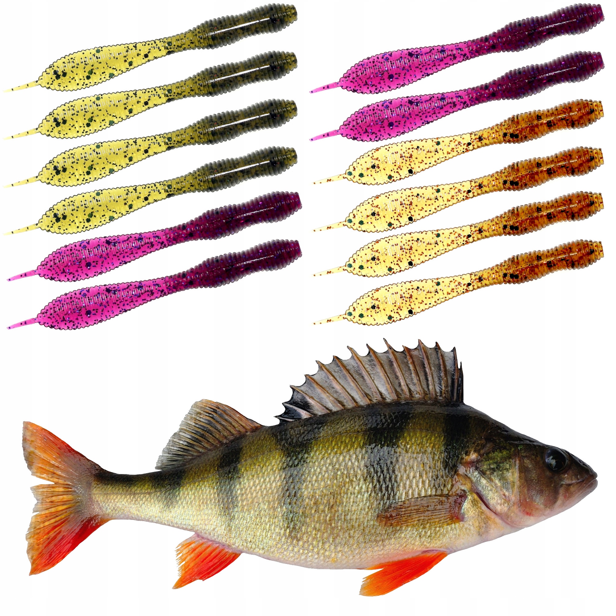 Perch Professor F**king Leech 2' 5,5cm Mix 12 szt.