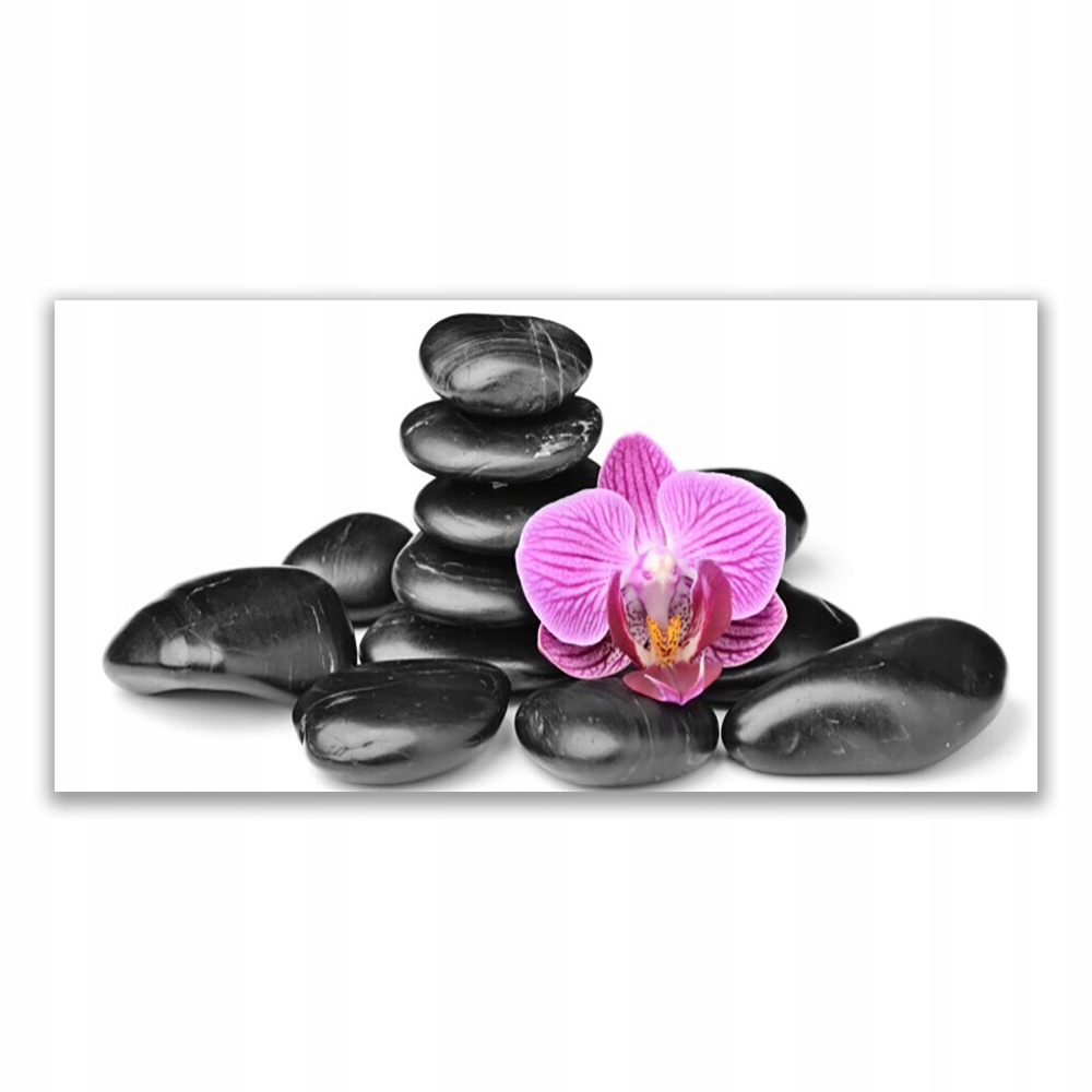 

Obraz akryl ścienny 140x70 Kwiat Kamienie Sztuka