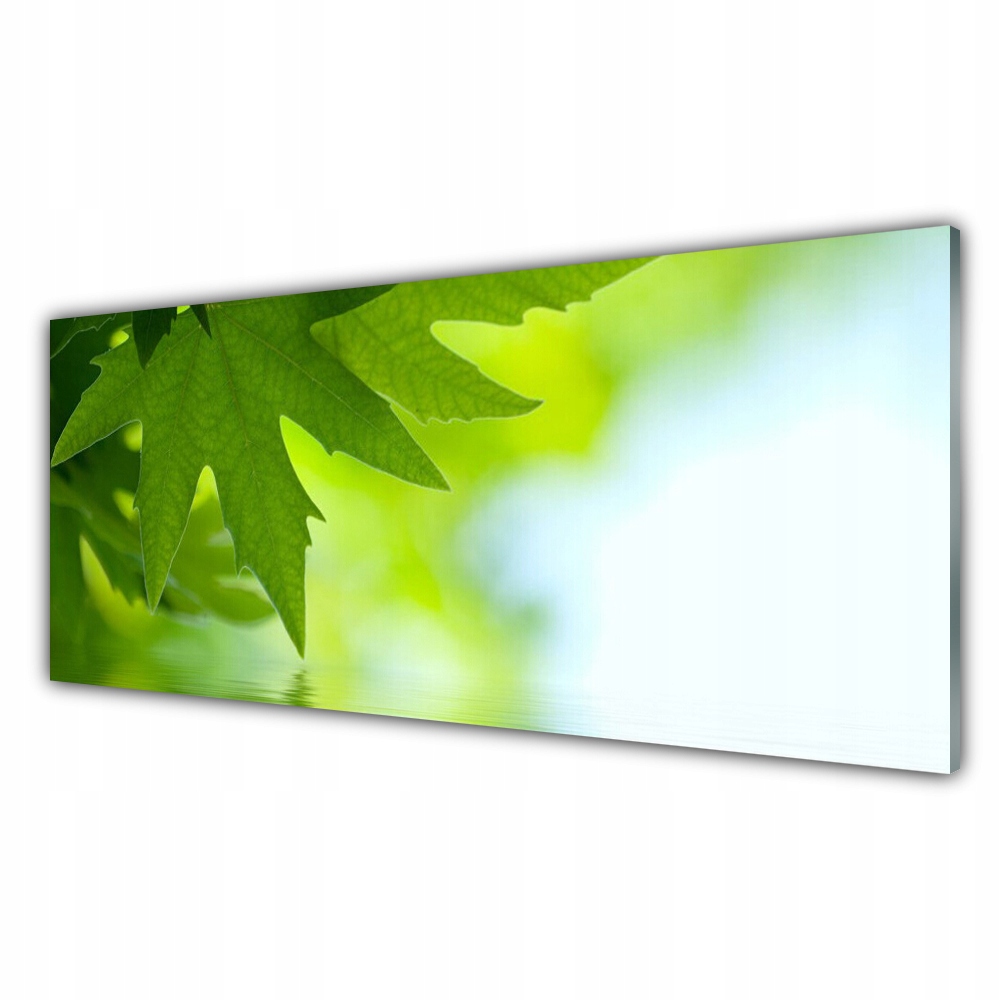 

Obraz akryl ścienny 125x50 Liście Natura Roślina