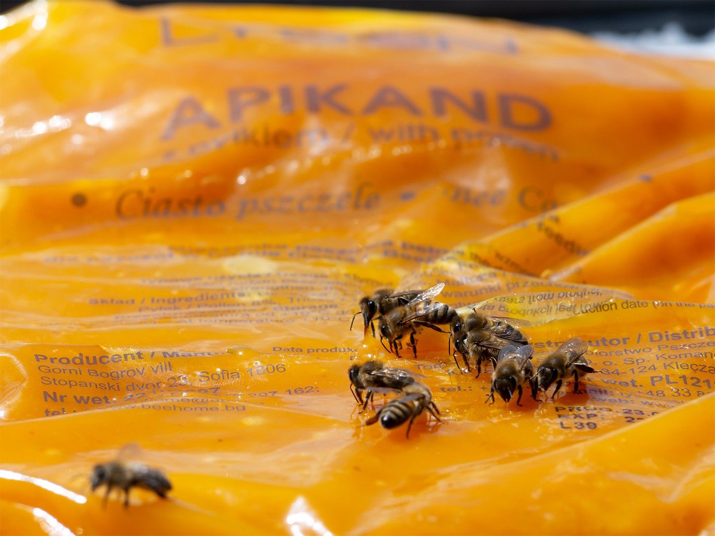 Apikand z pyłkiem - ciasto 1kg Producent Łysoń