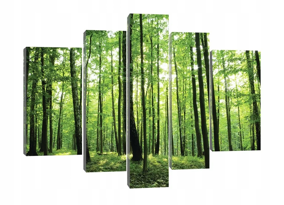 Obraz Na Plátne Canvas 170x100 Les Stromy Zelený
