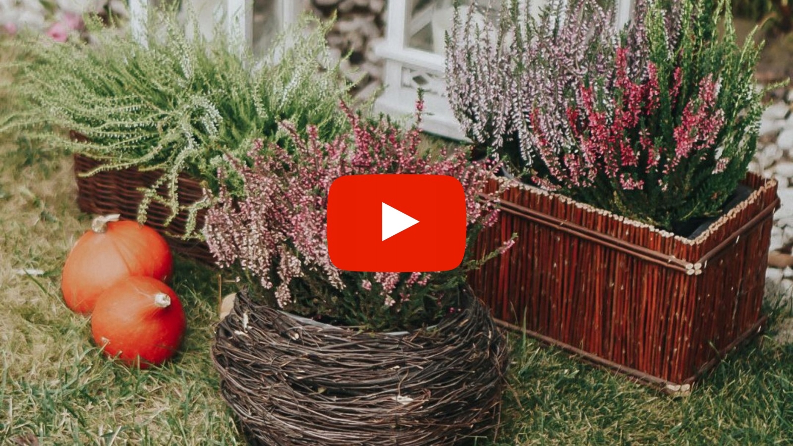 DONICZKA WIKLINOWA NA WRZOS WRZOSIEC CIEMNA 60cm Marka Polska Wiklina