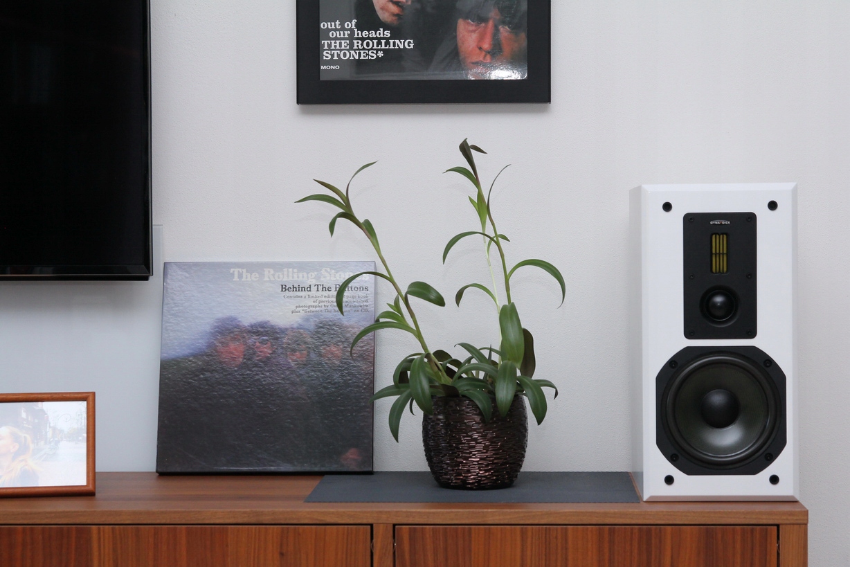 DYNAVOICE DM-6 SVÉD SLÁGER, KIEMELKEDŐ HANGZÁS + GYÖNYÖRŰ FEHÉRÍTETT KŐRIS Márka Dynavoice