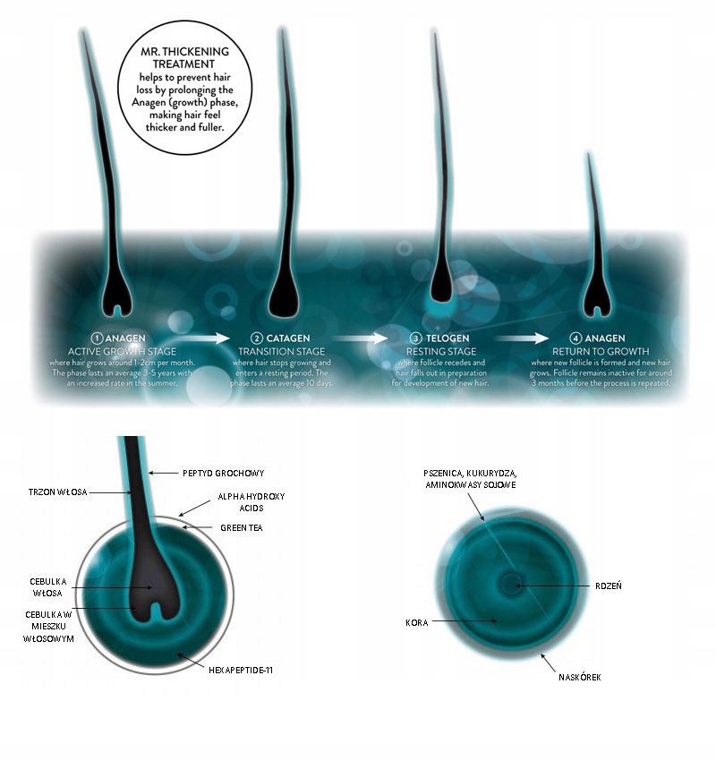 MR JAMIE STEVENS ODŻYWCZY OLEJEK DO BRODY 50ml Marka inna marka