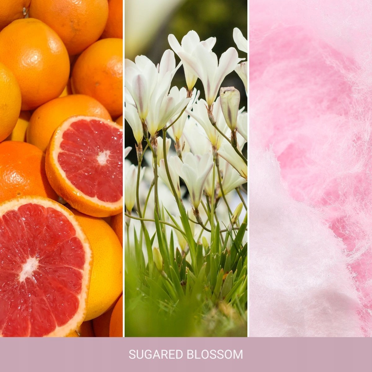 Yankee Candle HOME INSPIRATION duża SUGARED BLOSSOM Marka Yankee Candle