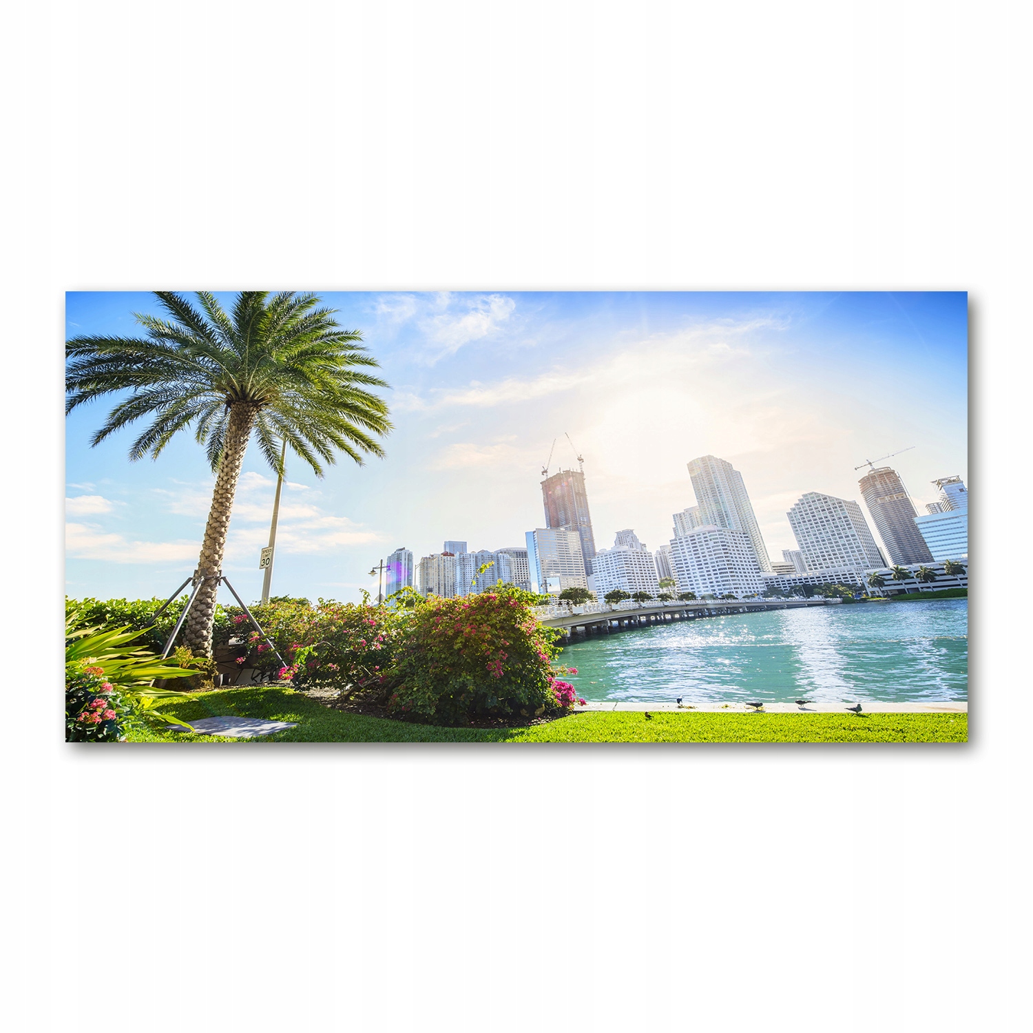 

Foto obraz na szkle akrylowym Miami Usa 120X60 cm