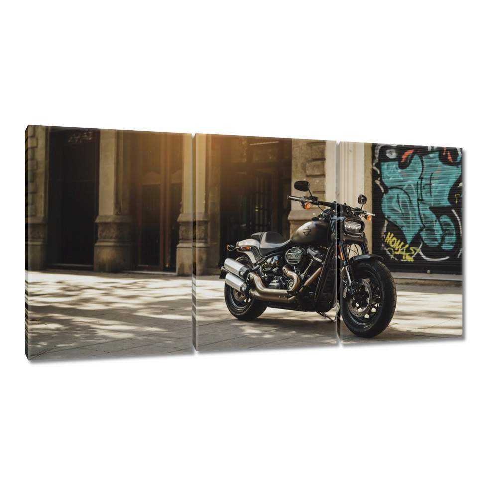 

Obrazy 120x60 Harley Davidson Motocykl