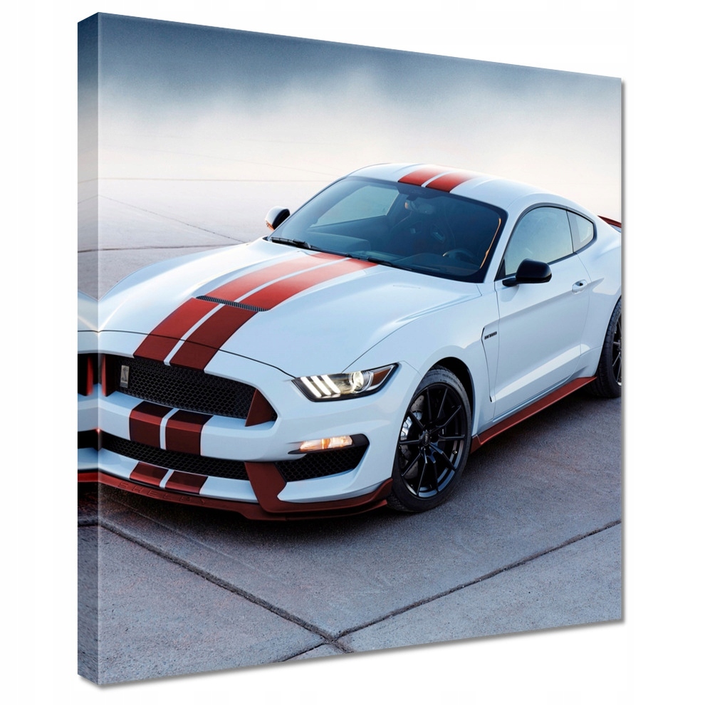 

Obrazy 40x40 Mustang Ford Samochód