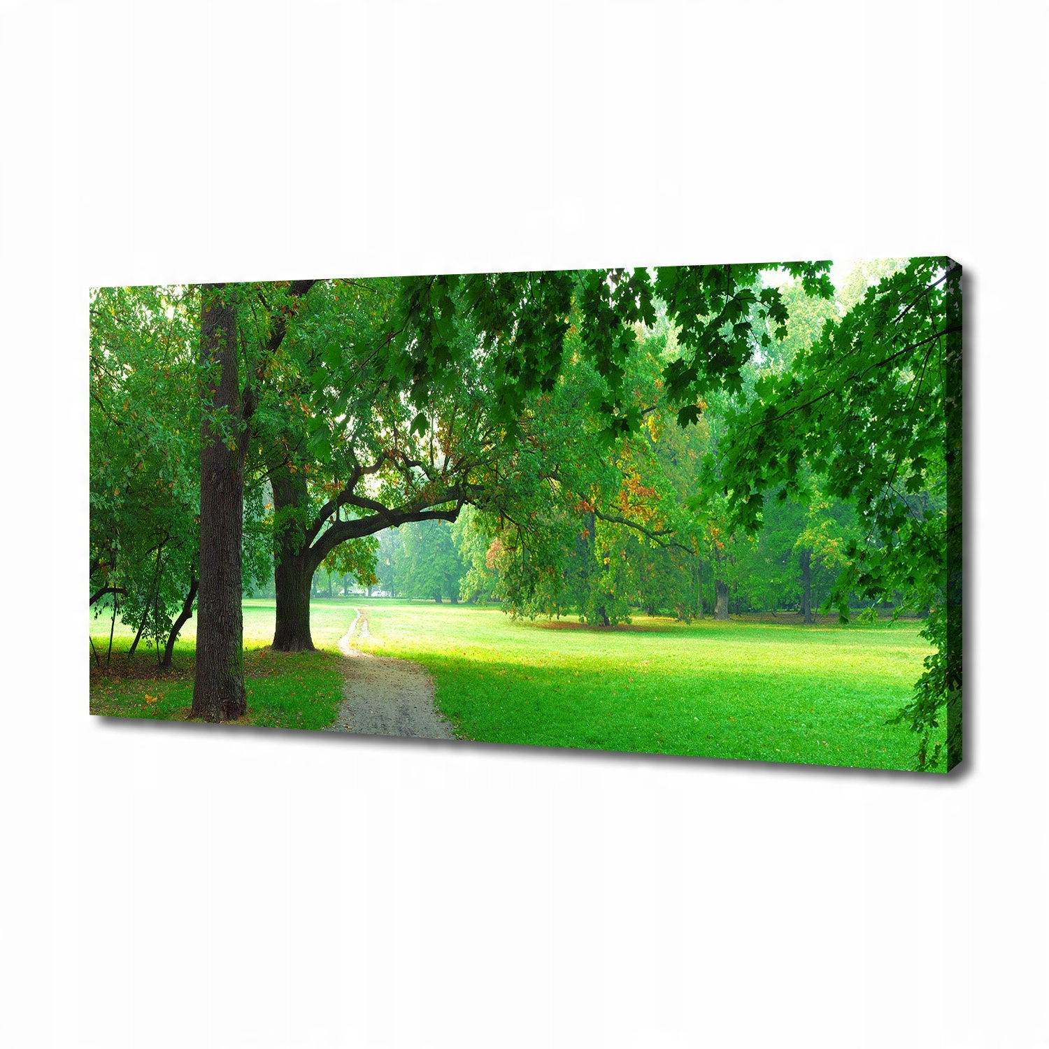 

Foto obraz na płótnie Park jesienią 140x70 cm