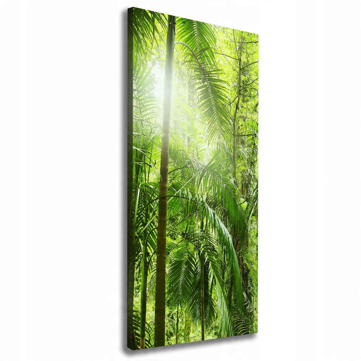 

Foto obraz na płótnie Las deszczowy 50x125 cm