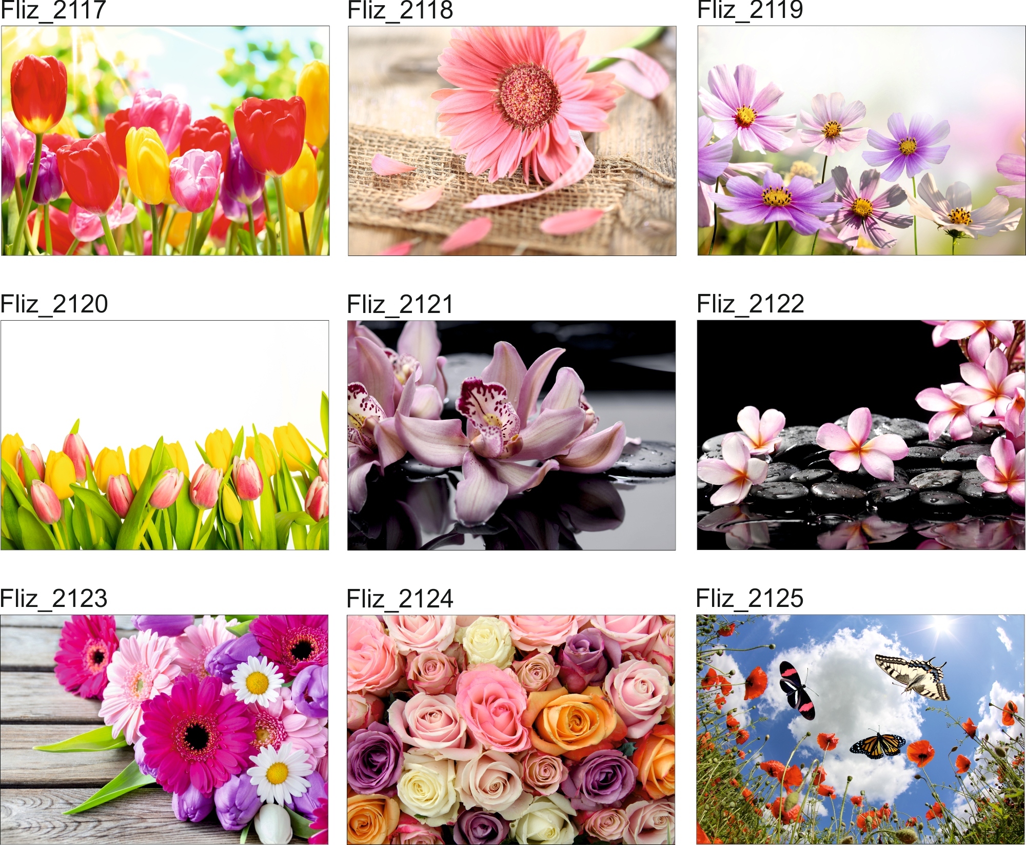 FOTOTAPETA KWIATY POLANA ŁĄKA 3D Rodzaj winylowa na flizelinie