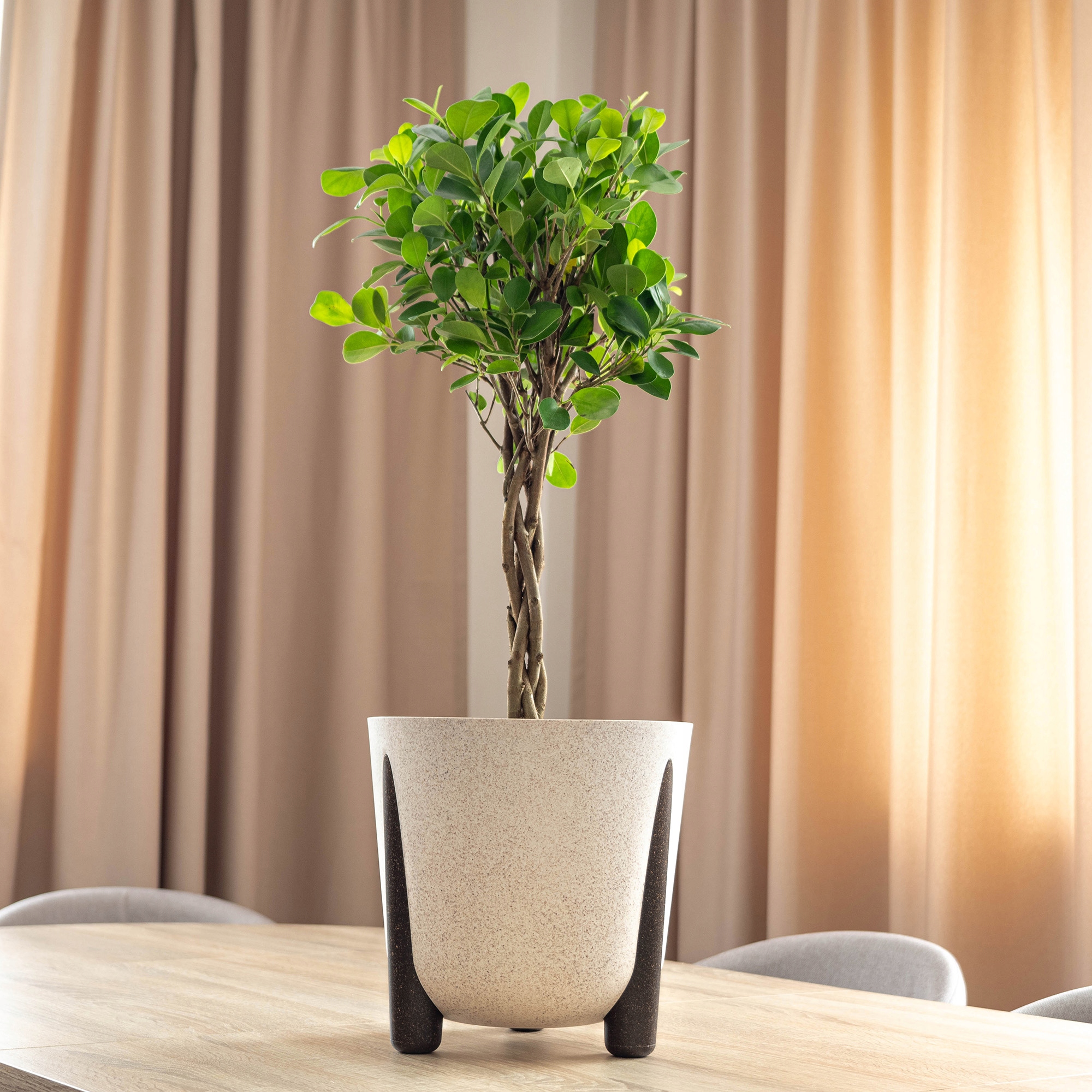 DONICZKA DONICA NA KWIATY ECO OSŁONKA NÓŻKI Z WKŁADEM 21cm BIAŁA Marka Kadax