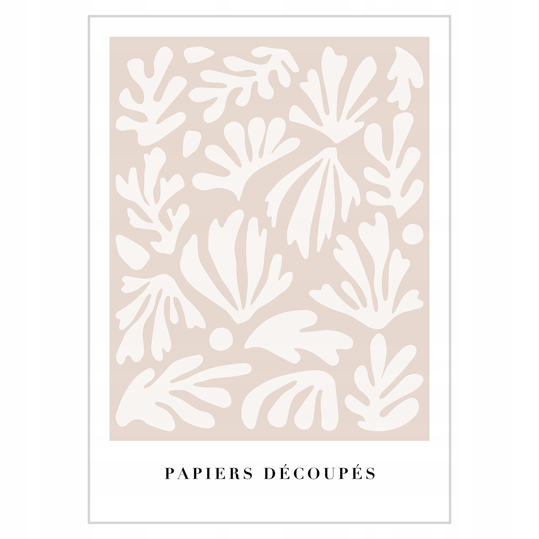 

Plakat 50x70 Henri Matisse Latte color03