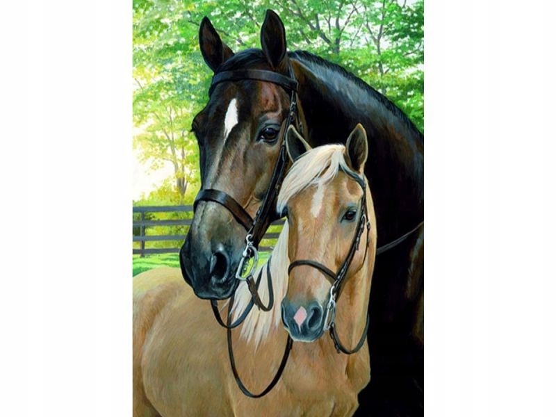 Obraz Malování Podle Čísel Rám 40x50cm Koně