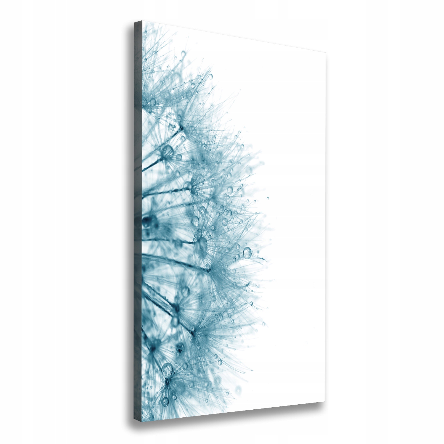 

Foto obraz na płótnie Nasiona dmuchawca 60x120 cm