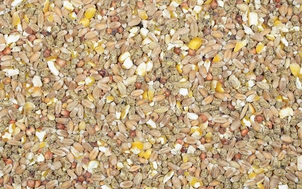 

Kuropatwa Karma 10 Kg Kampol