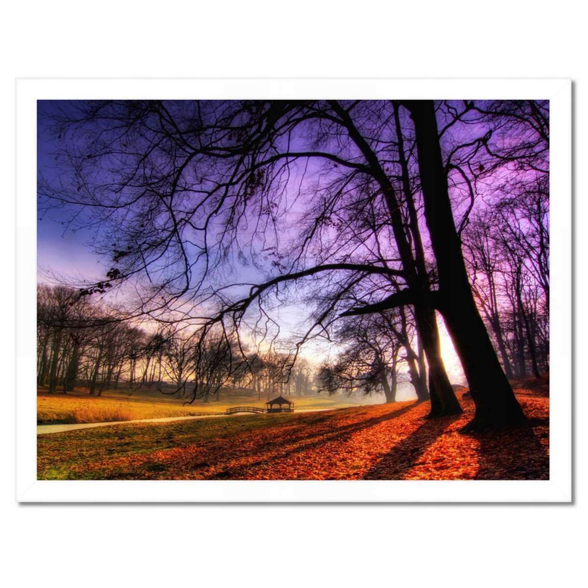 Plakáty v rámu 40x30 Park v Wąsowie