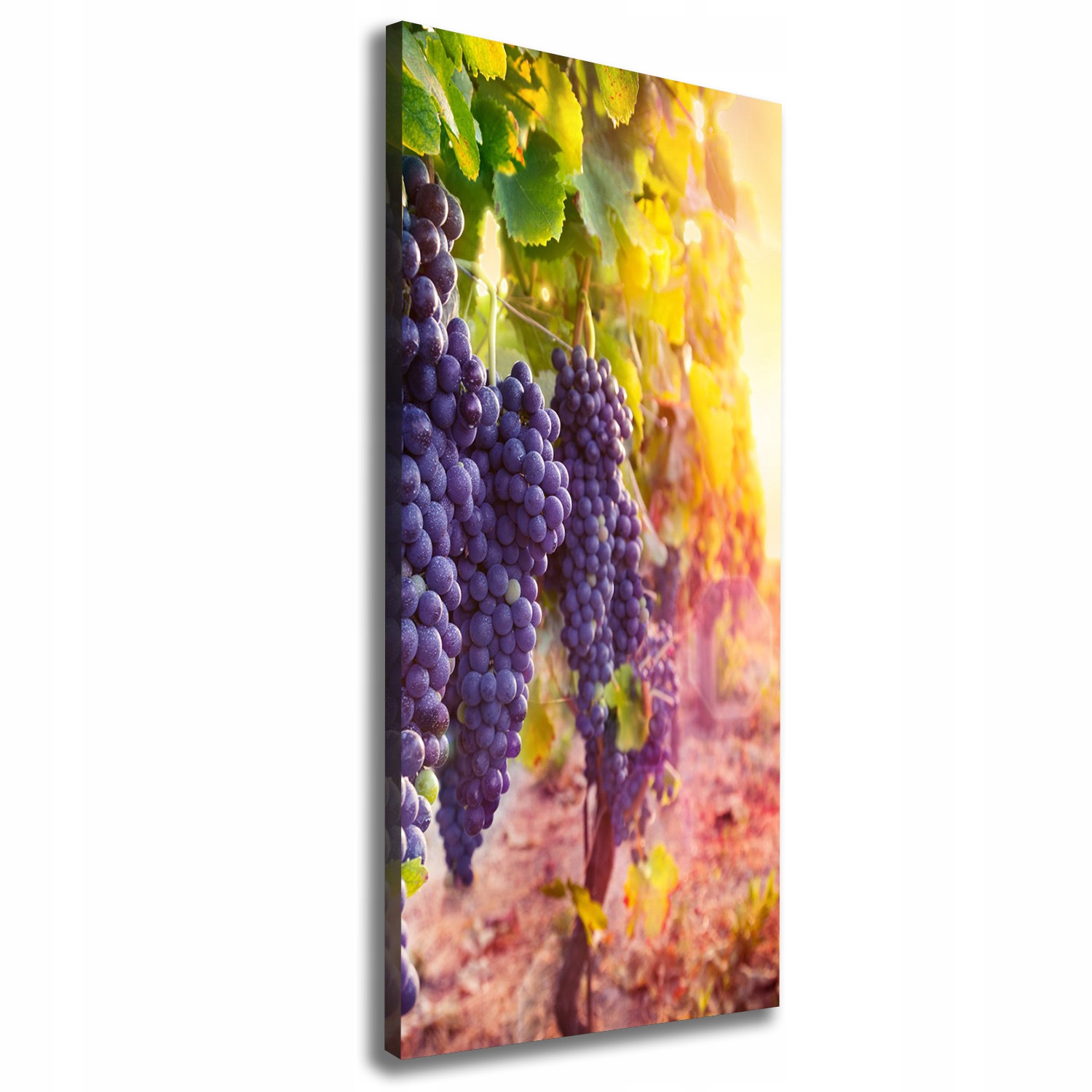 

Nowoczesny obraz canvas na ramie Winnica 50x125 cm
