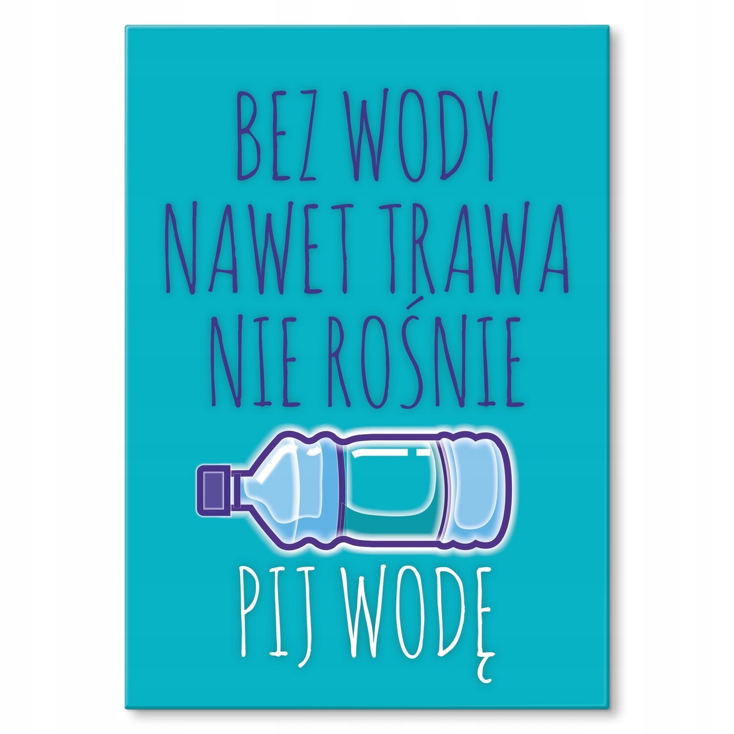 Kovový plakát Pijte vodu Dárek 30 x 42 cm