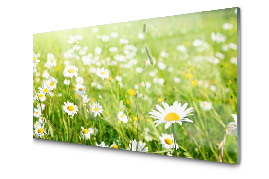 

Panel szklany dekor Łąka Stokrotki 120x60 + Klej