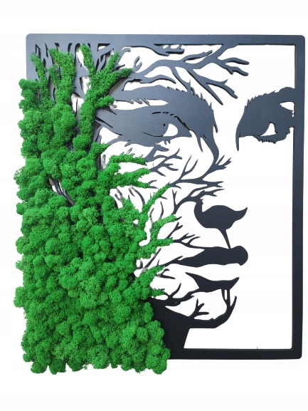 Dekorace Obraz S Mechem 70 cm žena tvář Mech Chrobotek s 3D chrobotkem