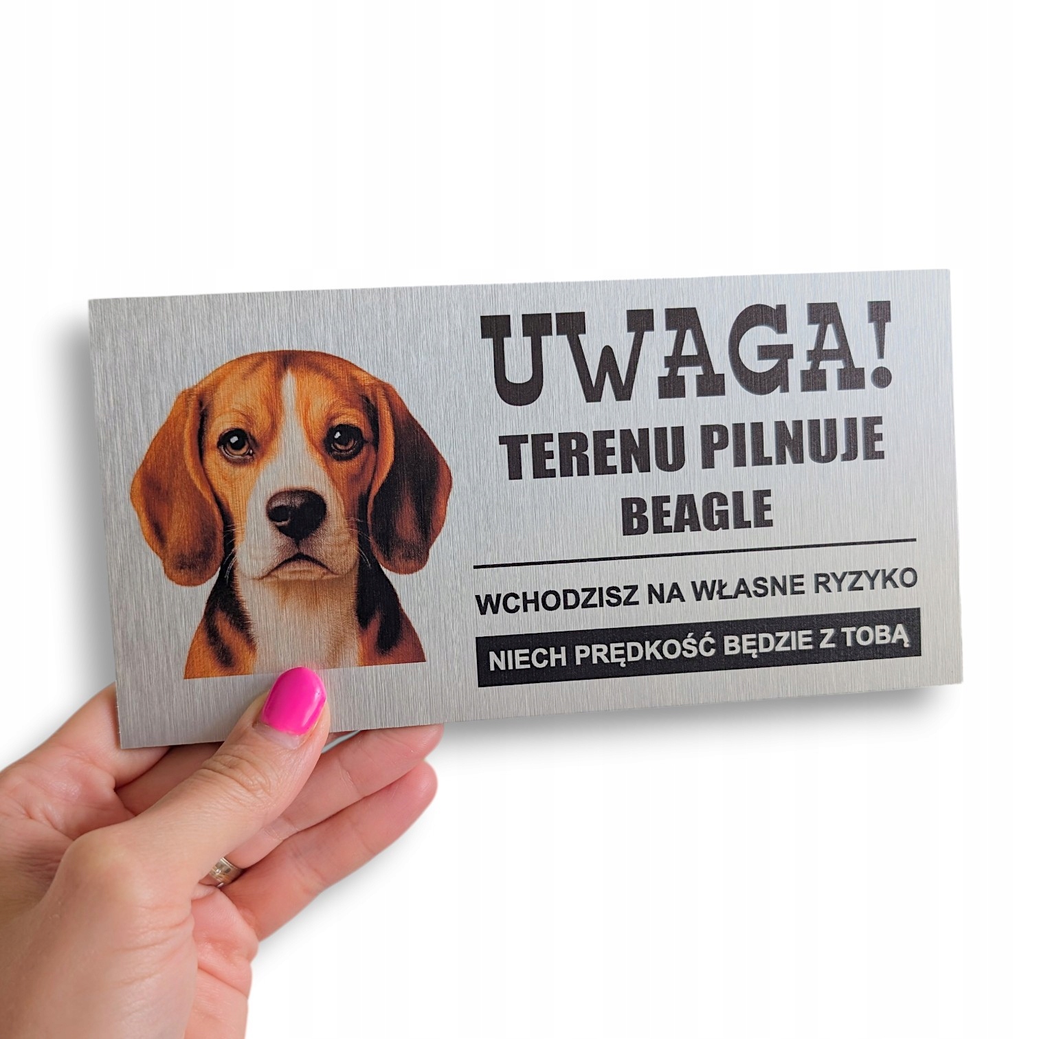 Tabliczka Uwaga PIES! Terenu Pilnuje BEAGLE