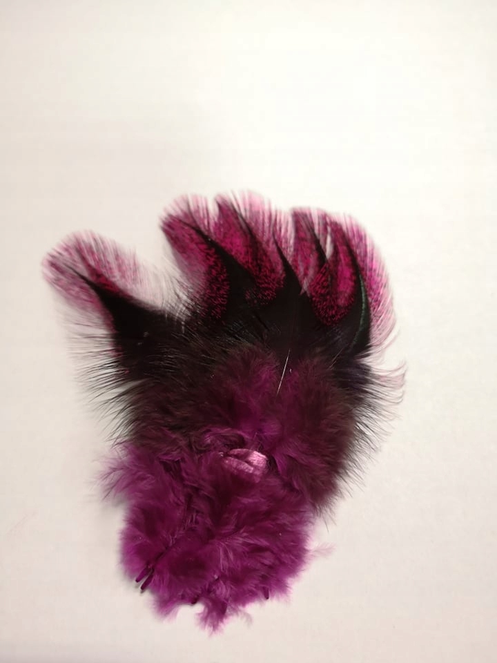 Top Fly Coq De Leon Purple